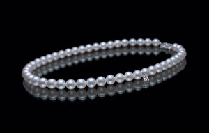 pearl-perle-pearls-natural pearl-saltwater pearl-conch pearl-south sea pearl